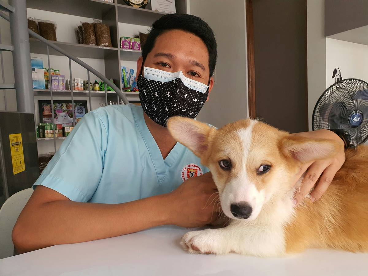 dosage guideline iron what happen when: veterinary technician reviewing iron supplement label with concerned pet owner