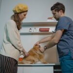 Iron Supplements for Anemic Dog: 7 Proven Tips to Avoid Costly Mistakes