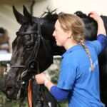 Iron Supplements for Horses: 7 Proven Tips to Avoid Costly Mistakes