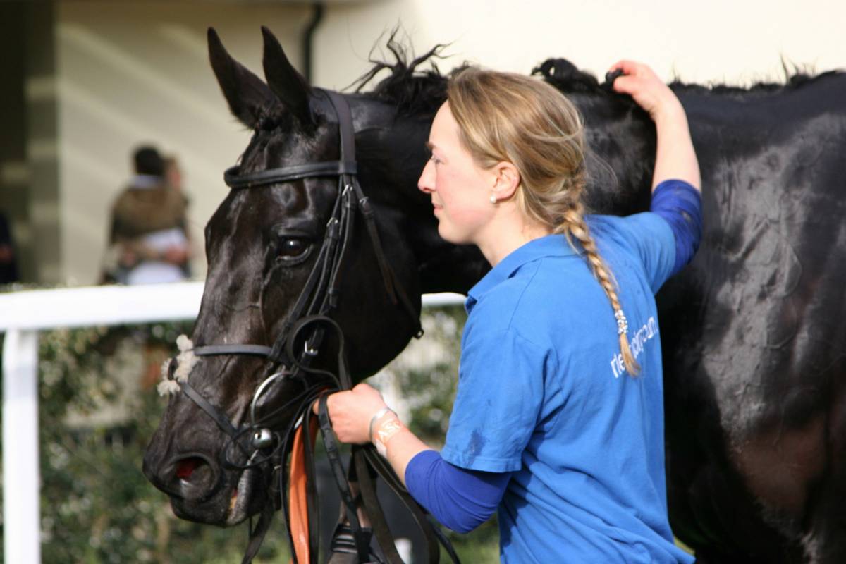 Iron Supplements for Horses: 7 Proven Tips to Avoid Costly Mistakes