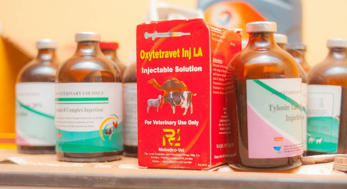 Bottle labeled 'ferrous sulfate' next to measuring syringe for pet dosage – iron supplement starting with f