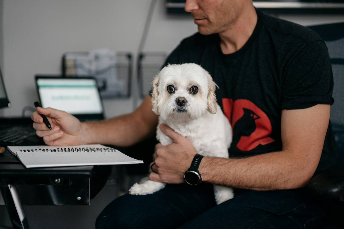 are iron supplements safe for dogs - a veterinarian examining a dog's blood test results for anemia
